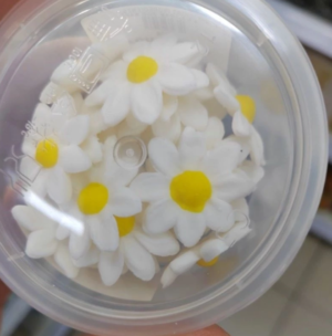 Sugar Paste Flower White